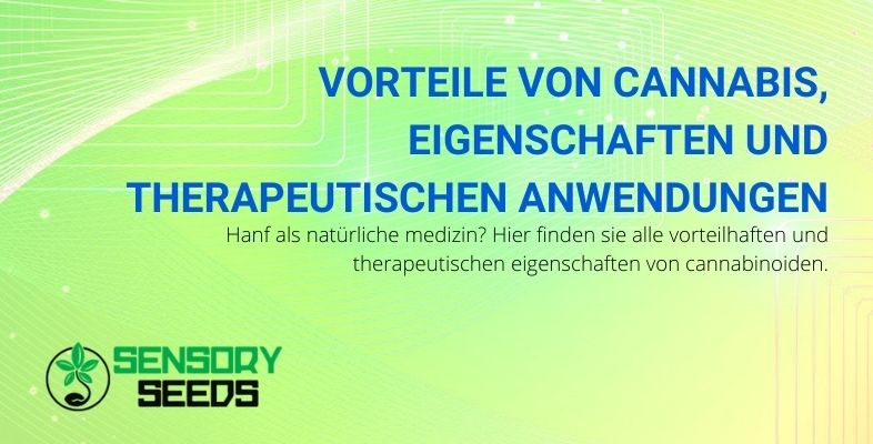 Cannabis: Vorteile, therapeutische Anwendungen und Eigenschaften.