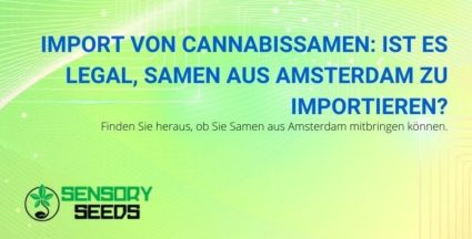 Ist es legal, Cannabissamen aus Amsterdam zu importieren?