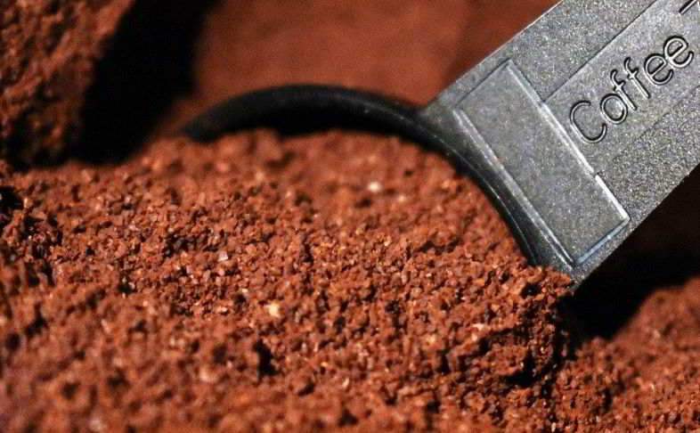 Kaffee als natürlicher Dünger für Pflanzen