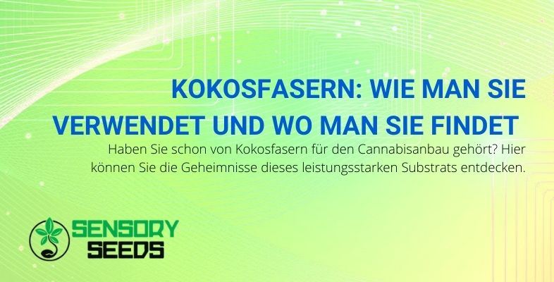 Wie werden Kokosfasern für den Cannabisanbau verwendet?