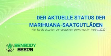 Deutsche Growshops: die Situation im Herbst 2020