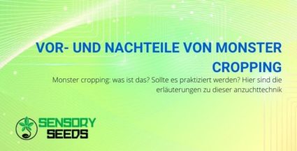 Monster Cropping: Vor- und Nachteile