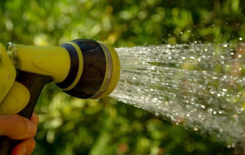 Dosierung des Wassers zum Blühen von Cannabis