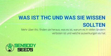 Hier erfahren Sie, was Sie über THC wissen sollten