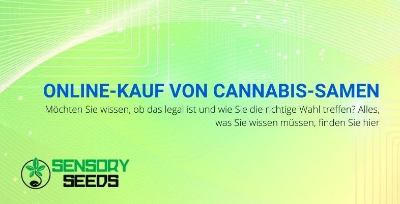 Regeln für den Online-Kauf von Cannabissamen.