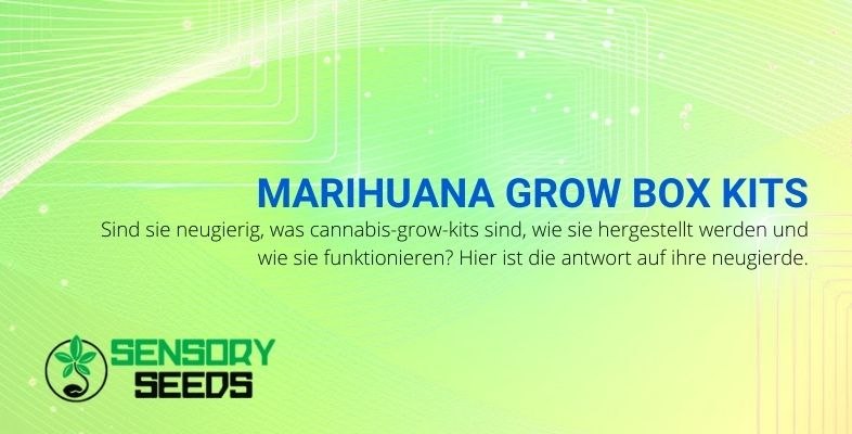 Kurioses über Cannabis-Growbox-Kits