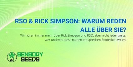 Wer sind Rick Simpson und das RSO?