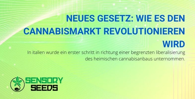 Wie wird sich der Cannabismarkt durch das neue Gesetz verändern?