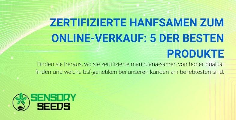 5 der besten BSF-Hanfsamen, die von Sensoyseeds-Kunden gekauft wurden