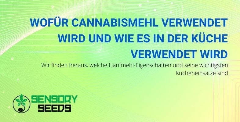 Wofür ist Cannabismehl und wie kann es in der Küche verwendet werden?