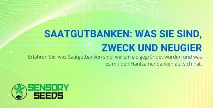 Was sind Saatgutbanken, wozu dienen sie und Kurioses