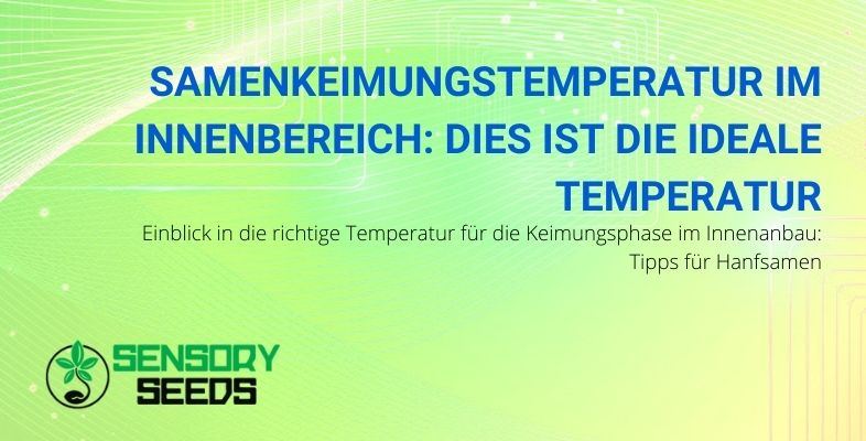 Hier ist die ideale Temperatur in der Keimphase für Hanfsamen.