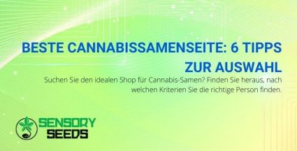 6 Tipps zur Auswahl der besten Cannabissamen-Site