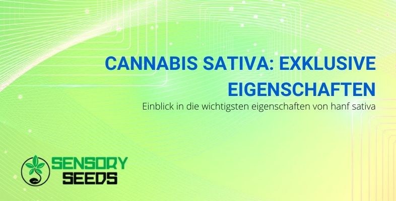 Die einzigartigen Eigenschaften von Cannabis sativa