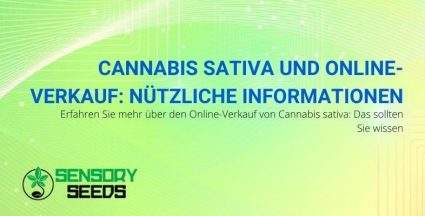 Informationen zum Online-Verkauf von Cannabis sativa
