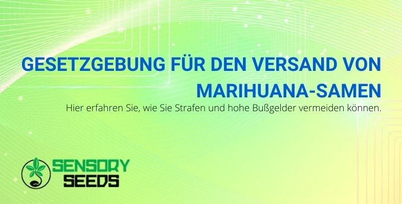 Vermeiden Sie Risiken, indem Sie die Gesetze zur Regulierung von Cannabislieferungen befolgen