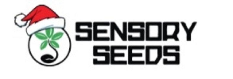 Kaufen Sie zertifizierte Marihuanasamen auf der Sensoryseeds-Website