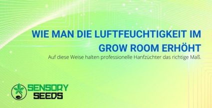 Wie Sie die richtige Luftfeuchtigkeit in Ihrem Grow Room aufrechterhalten