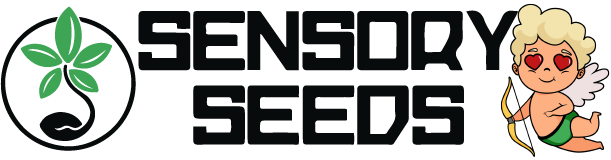 Sensoryseeds Logo zum Valentinstag
