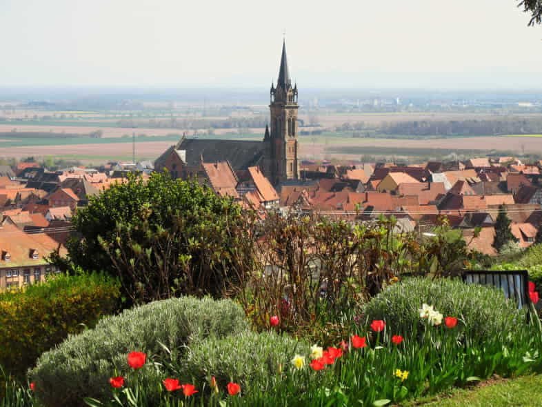 Auswirkungen von Guerilla Gardening