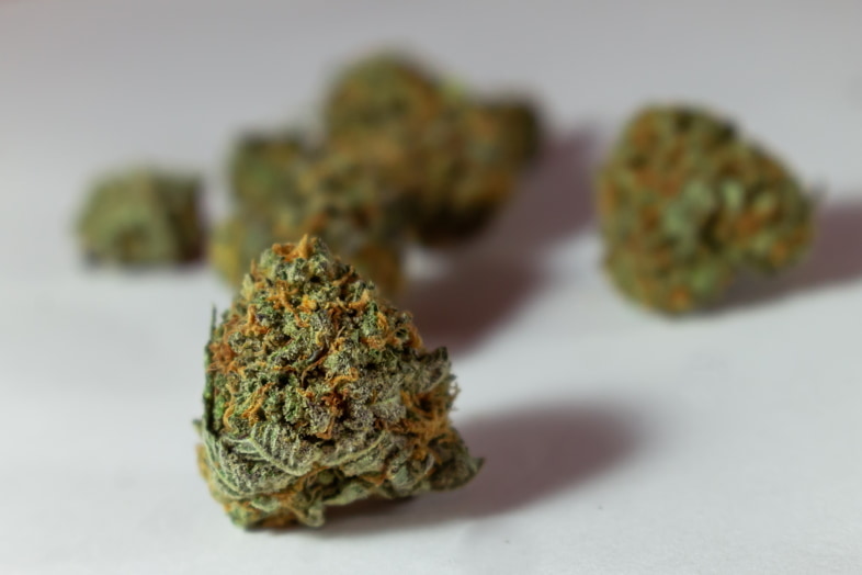 Getrocknete Cannabisblütenstände