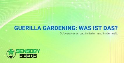 Guerrilla Gardening: Was ist das?