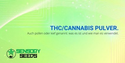 Was ist THC-Pulver?