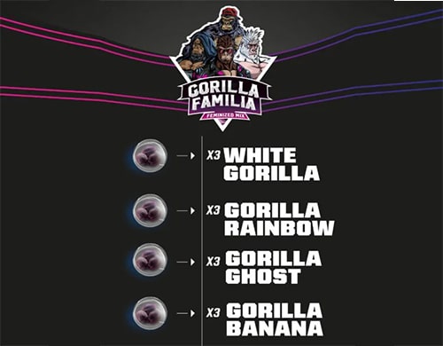 Cannabissamen gorilla familia
