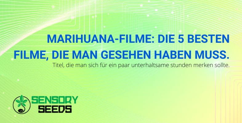 Die 5 besten Marihuana-Filme