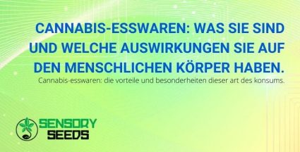 Was sind Cannabis-Esswaren und welche Wirkung haben sie?