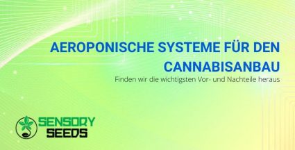 Die Vor- und Nachteile von aeroponischen Systemen für den Cannabisanbau