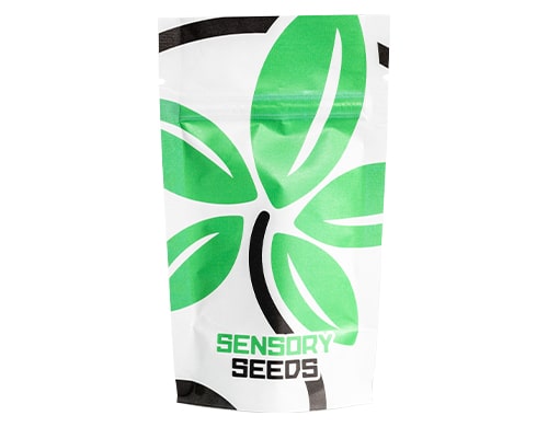 packaging-cannabis-samen-space-mango
