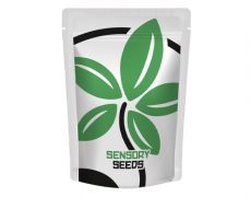 packaging-cannabis-seeds-space-mango