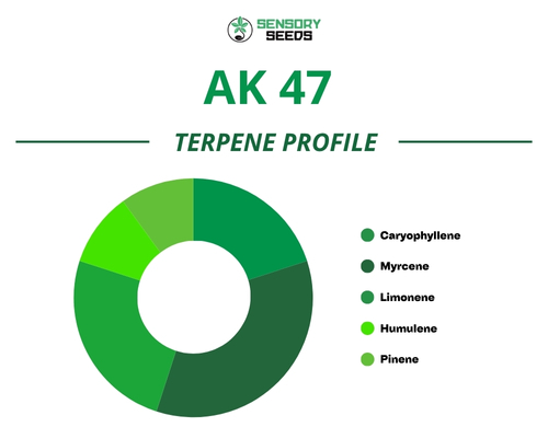 Kreisdiagramm des Terpenprofils der Sorte AK 47