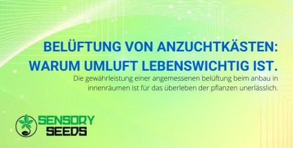 Warum die Belüftung von Growboxen so wichtig ist