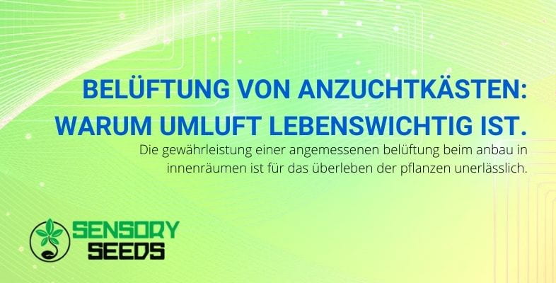 Warum die Belüftung von Growboxen so wichtig ist