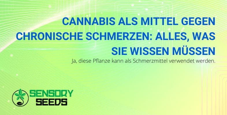 Alles über Cannabis als Mittel gegen chronische Schmerzen