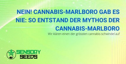 Der Mythos der Marlboros aus Cannabis