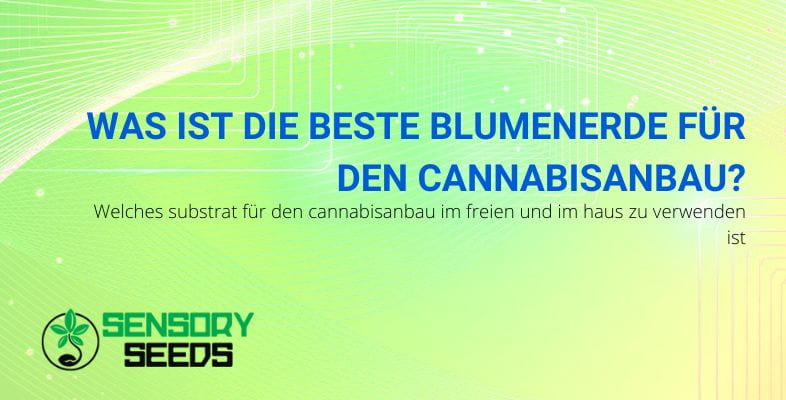 Was ist der beste Boden für den Cannabisanbau?