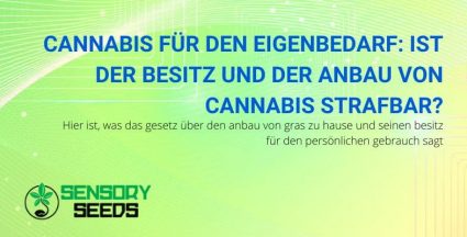 Ist der Besitz und Anbau von Cannabis für den Eigenbedarf eine Straftat?