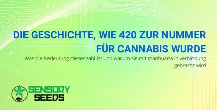 Die Bedeutung der Zahl 420 bei Cannabis