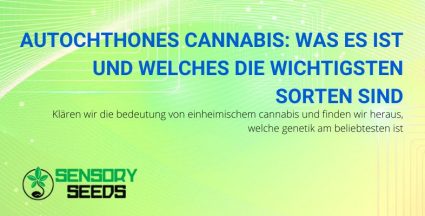 Was ist autochthones Cannabis?