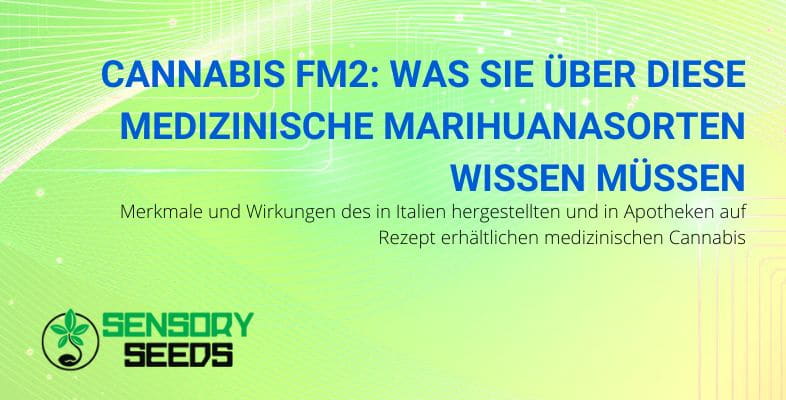 Alles über FM2 medizinisches Cannabis
