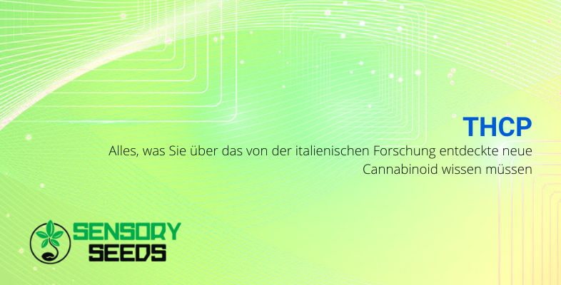 Alles über das neue Cannabinoid THCP