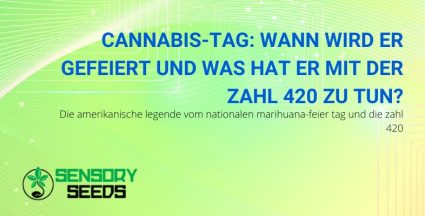 Wenn wir den Cannabis-Tag und die Zahl 420 feiern