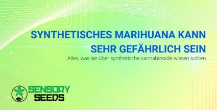 Synthetisches Marihuana ist gefährlich