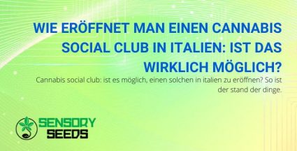 Cannabis Social Club in Italien: Wie man ihn eröffnet