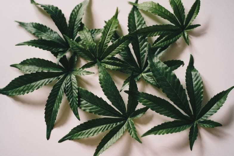 Cannabis-Social-Club in Italien