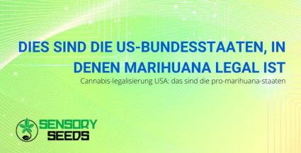 US-Bundesstaaten, in denen Cannabis legal ist