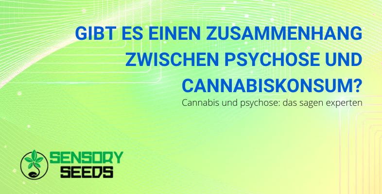 Der Zusammenhang zwischen Cannabiskonsum und Psychose